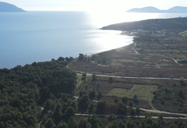 Screenshot 2026-03-10 143524